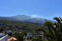 La Palma - Tajuya