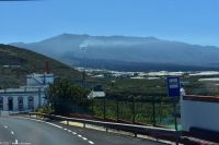 La Palma - Tajuya