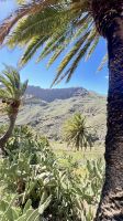 Landschaft, Buenavista del Norte, Santa Cruz de Teneriffa