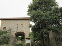 Laredo (5)
