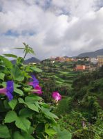 Las Carboneras
