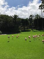Loro Parque
