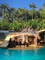Loro Parque