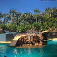 Loro Parque