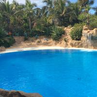 Loro Parque