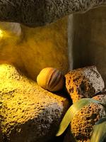 Loro Parque