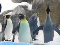 Loro Parque
