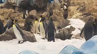 Loro-Park