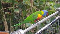Loro-Park