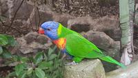 Loro-Park