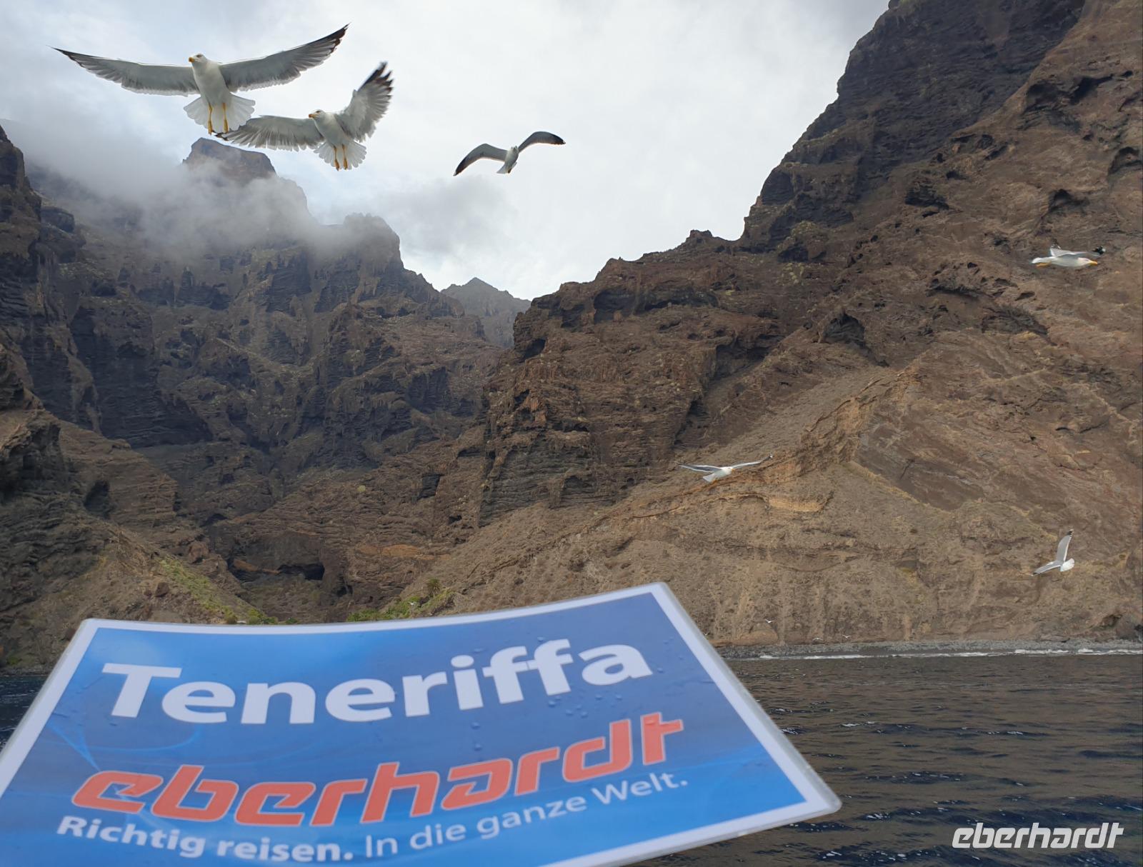 Los Gigantes (13)