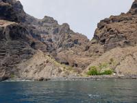 Los Gigantes (30)