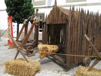 Lugo (28)