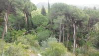 Málaga