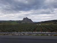 Málaga2