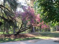 Madrid (37)