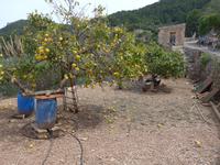 Mallorca