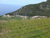 Mallorca