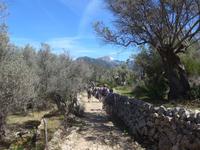 Mallorca