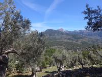 Mallorca