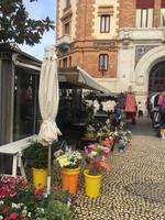 Markt in Cadiz