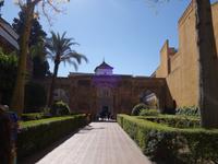 Maurischen Palast Real Alcázar in Sevilla (7)