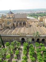 Mezquita von oben