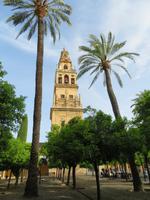 Mezquita