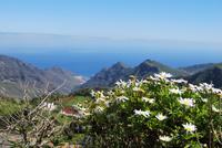 Mirador De Jardina