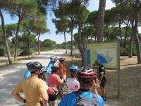 Nationalpark Donana