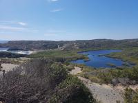 Natur pur