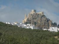 Olvera