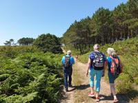 Ons Insel