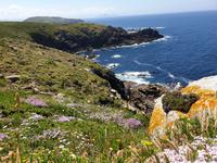 Ons Insel