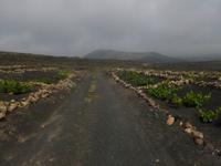 P1020544