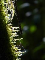 P1070825