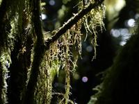 P1070879
