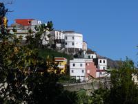 P1070921