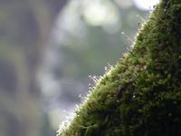 P1170128
