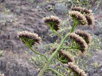 P1170167