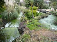 Parque Taoro
