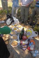 Picknick!
