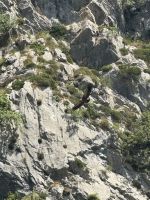 Picos de Europa.JPG