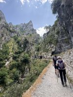 Picos de Europa.JPG
