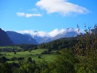 Picos de Europa