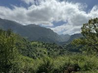 Picos de Europa