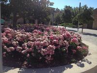 Poblet