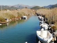 Port Andratx