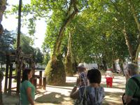 Porto (11)