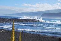 Puerto de la Cruz
